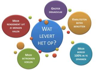 afbeelding participatief leidinggeven 2